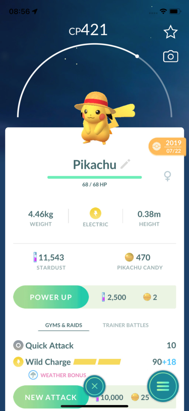 Pokemon Pikachu Straw Hat (2019)! Same Day Shippment or Next Day Guaranteed ! Go