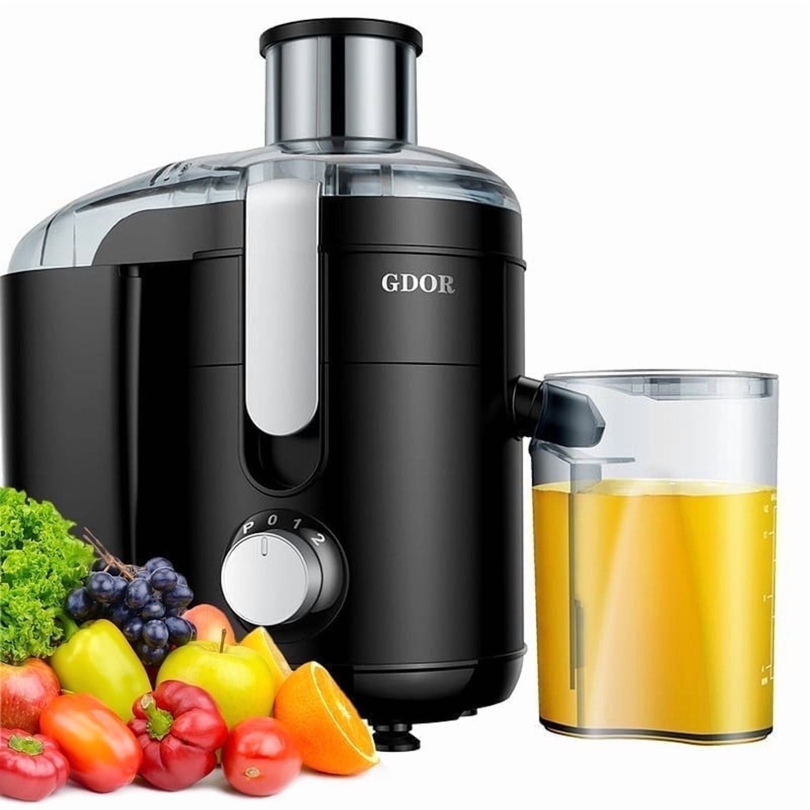 Juicer with Titanium Enhanced Cut Disc Dual Speeds Centrifugal Extractor Machine