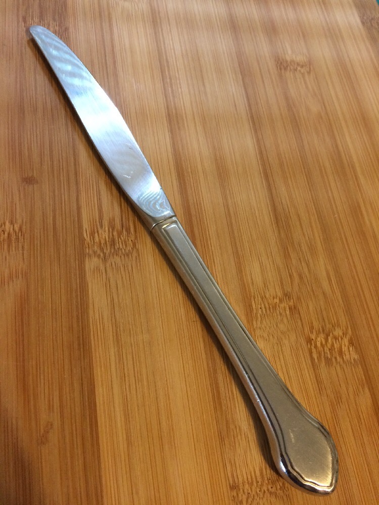 Oneida Rogers Stainless Burnished SUMMER MIST AUTUMN GLOW Hollow Dinner Knife 9"