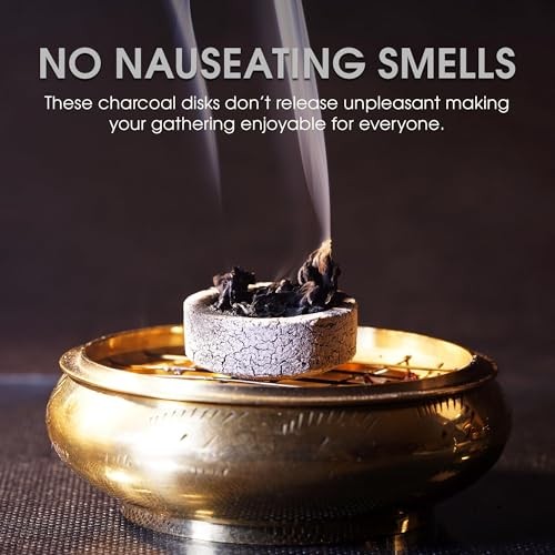 Sunlight® Charcoal Tablets for Incense– Quick Light 100 Count (2 Pack).