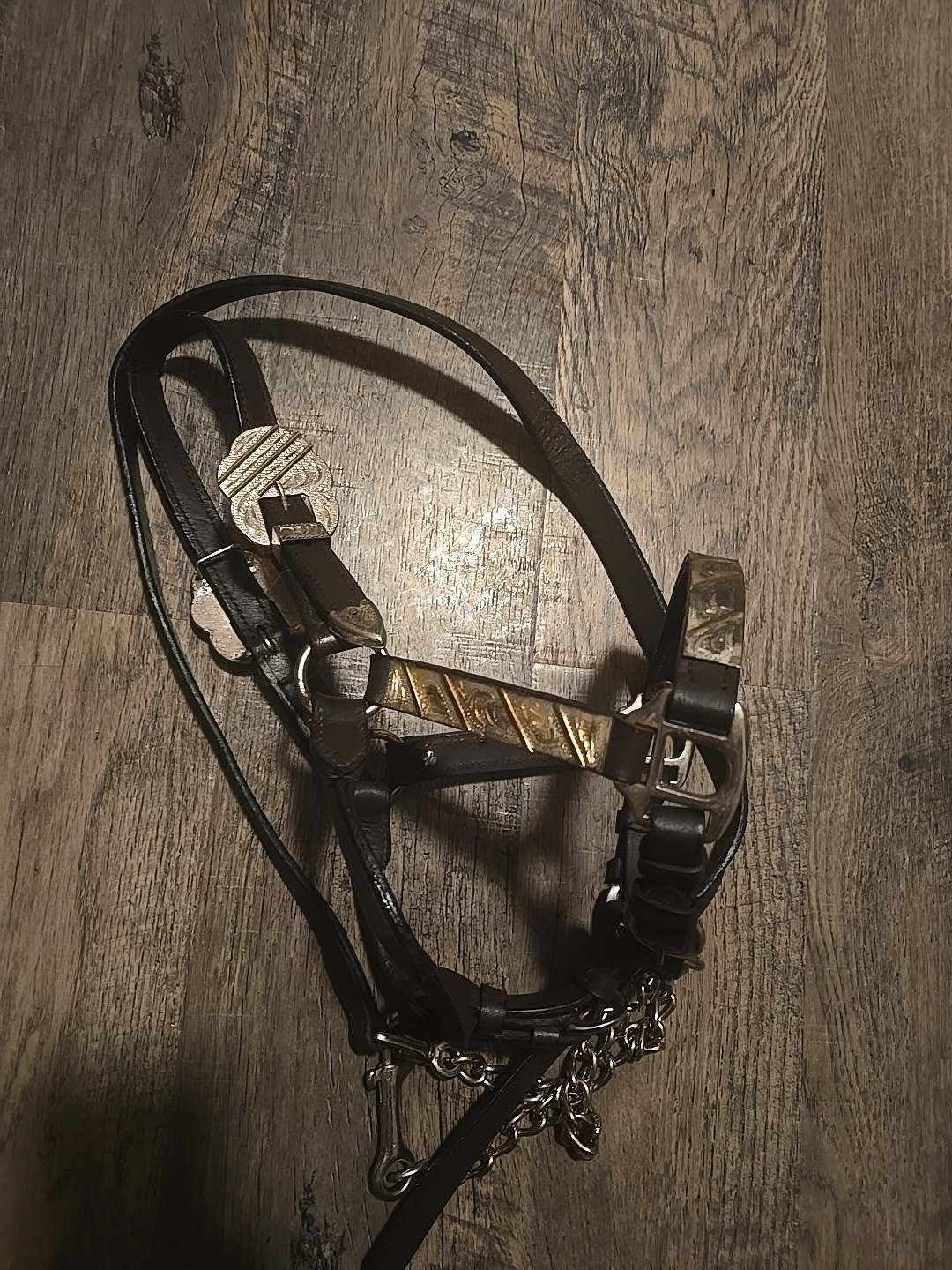 western show halter