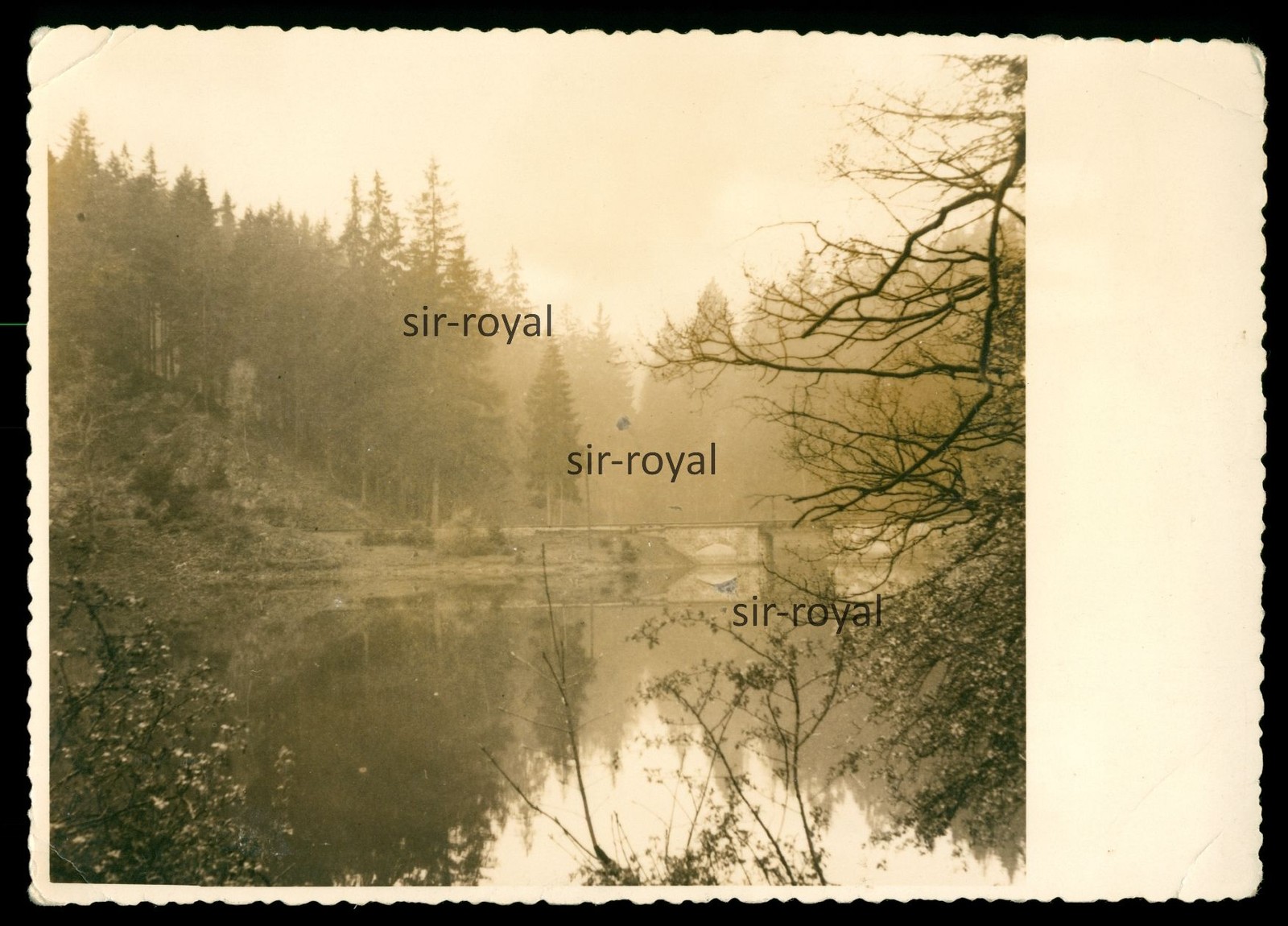 Gernrode in the Harz 1952-Holy Pond-1950s-Photo Postcard 14x10cm