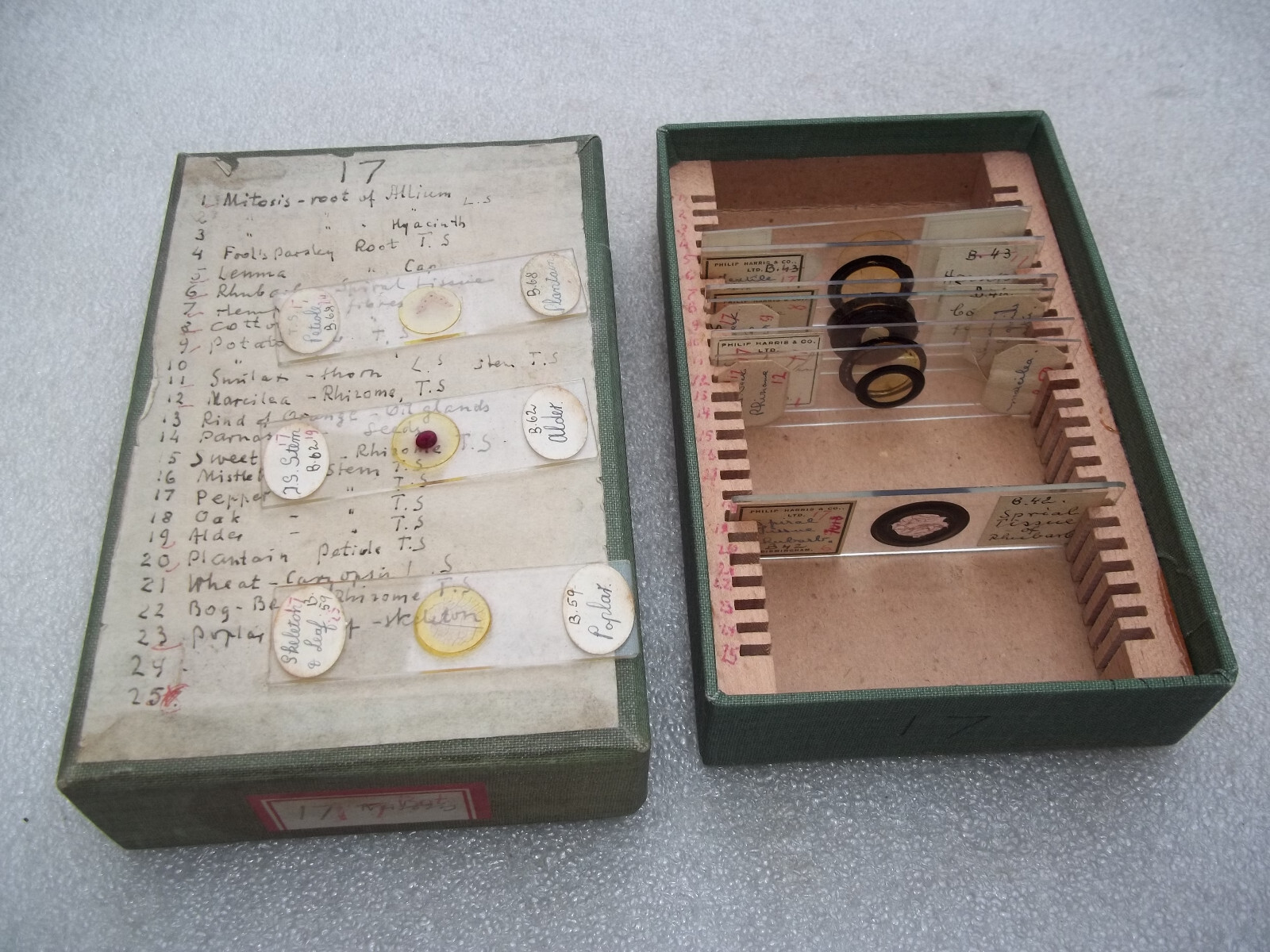 Vintage Glass Microscope Slides -