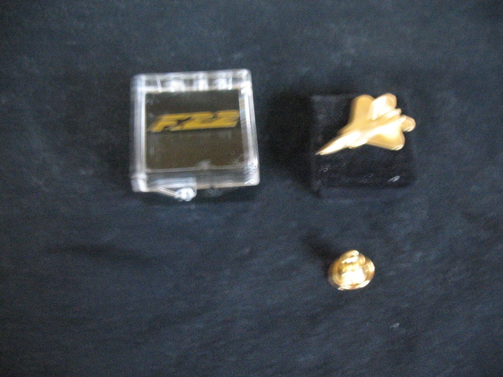 F/A-22 RAPTOR Lapel Pin