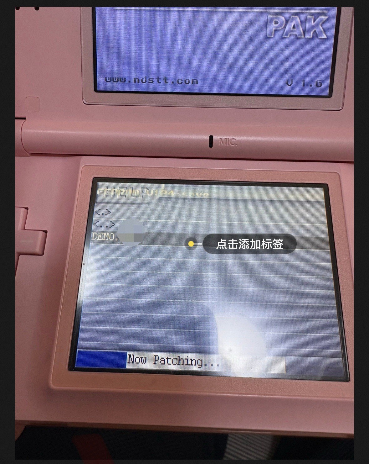 EWIN GBA Expansion Pak