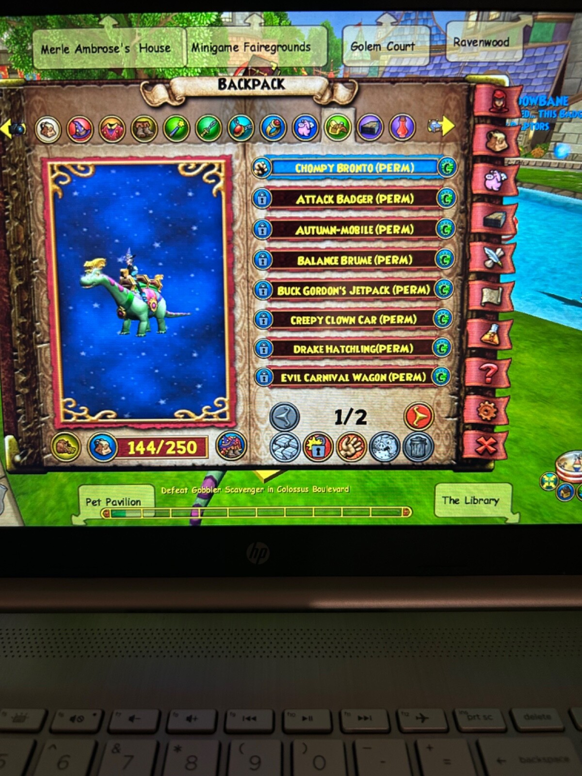 wizard101 account