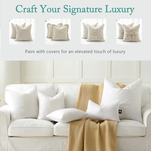 Luxury Feather Down 20x20 Pillow Inserts Set of 2, Soft 20x20 Inch (Pack of 2)