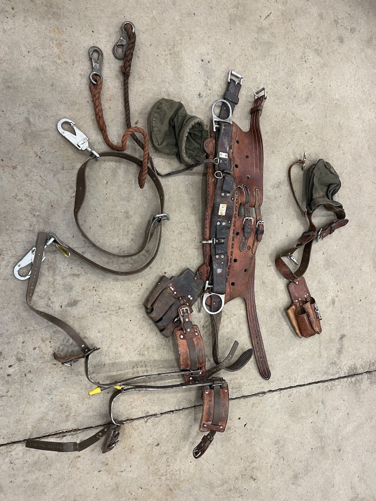 Bashlin Lineman SET Tree Climbing WIDE Belt Hooks Gear size D24