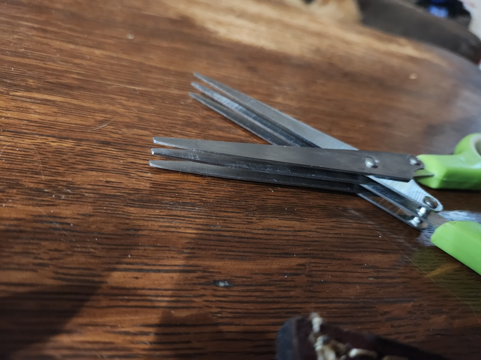 Herb scissors and leather sheath