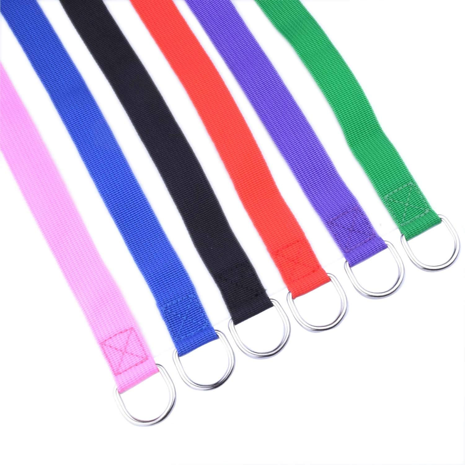 6 Pack D Ring Dog Slip Leads Leash Kennel Nylon Rope Doggy Daycare for Animals C
