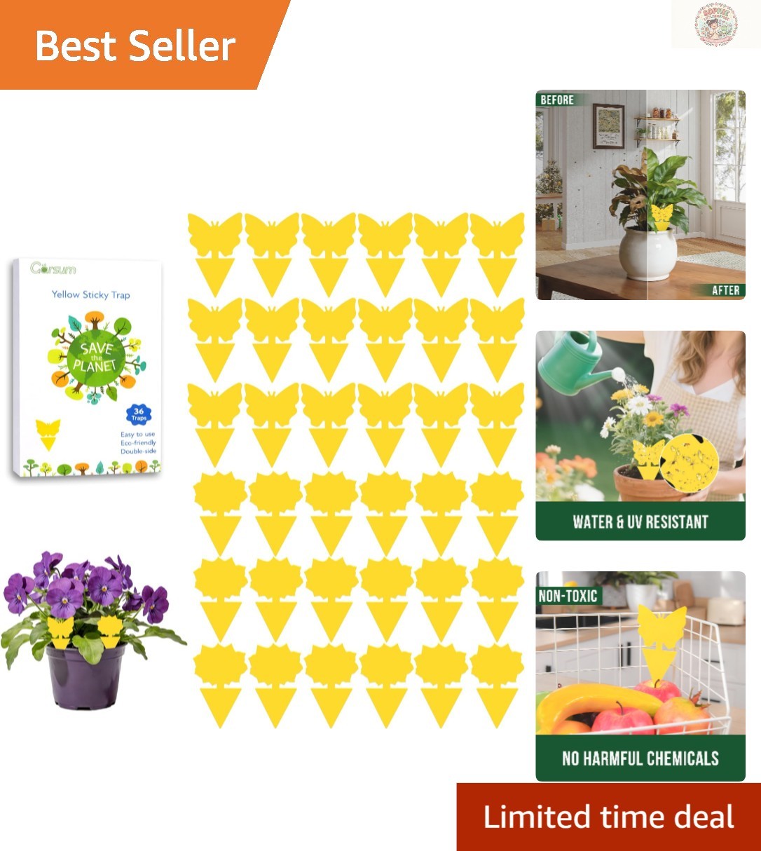 36 Pack Fruit Fly Sticky Traps - Eco-Friendly Gnat Killers for Indoor & Outdoor