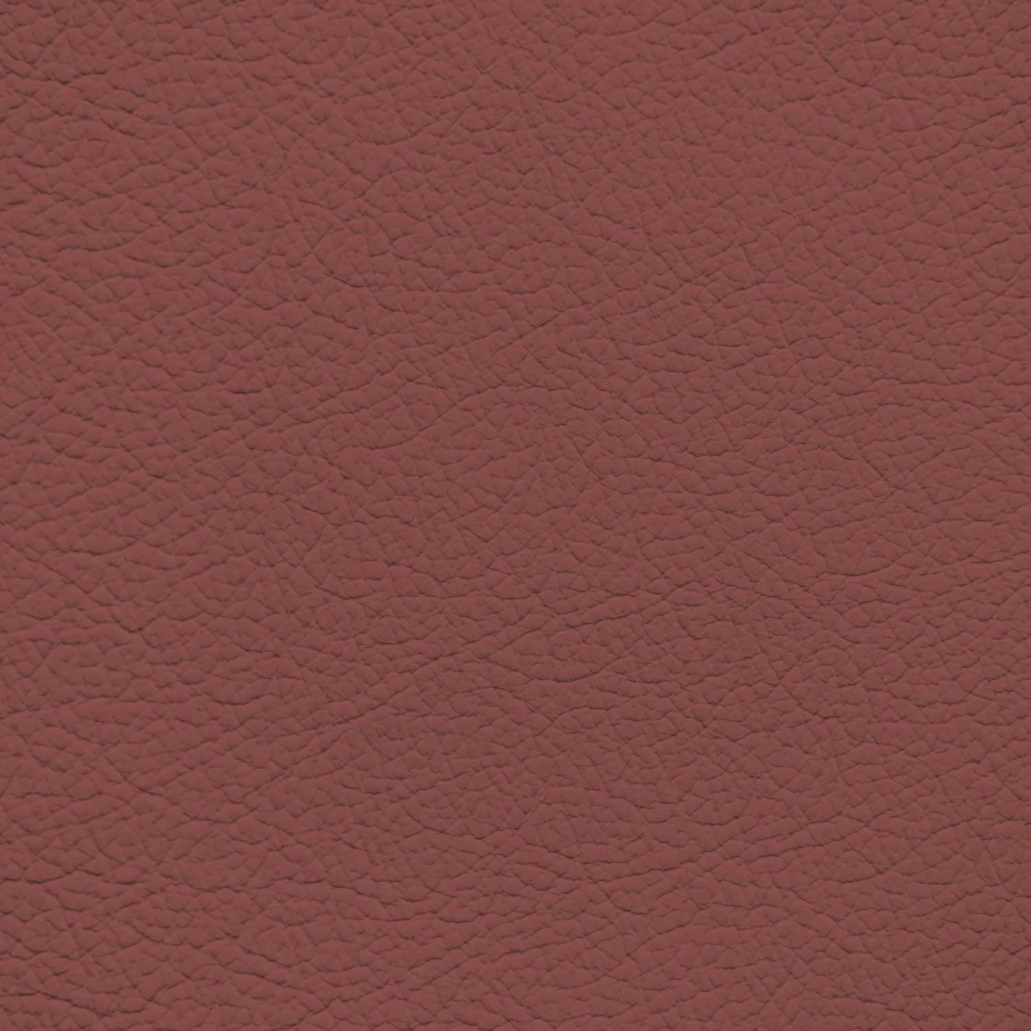 BMW Havana Leather Dye