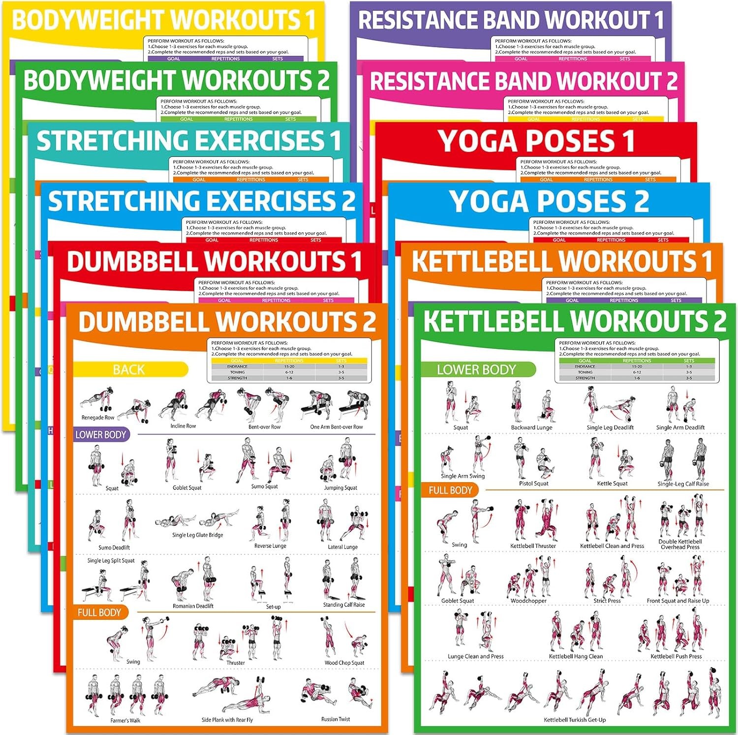 Workout Posters for Home Gym Dumbbells Bodyweight Colorful 12 Pcs