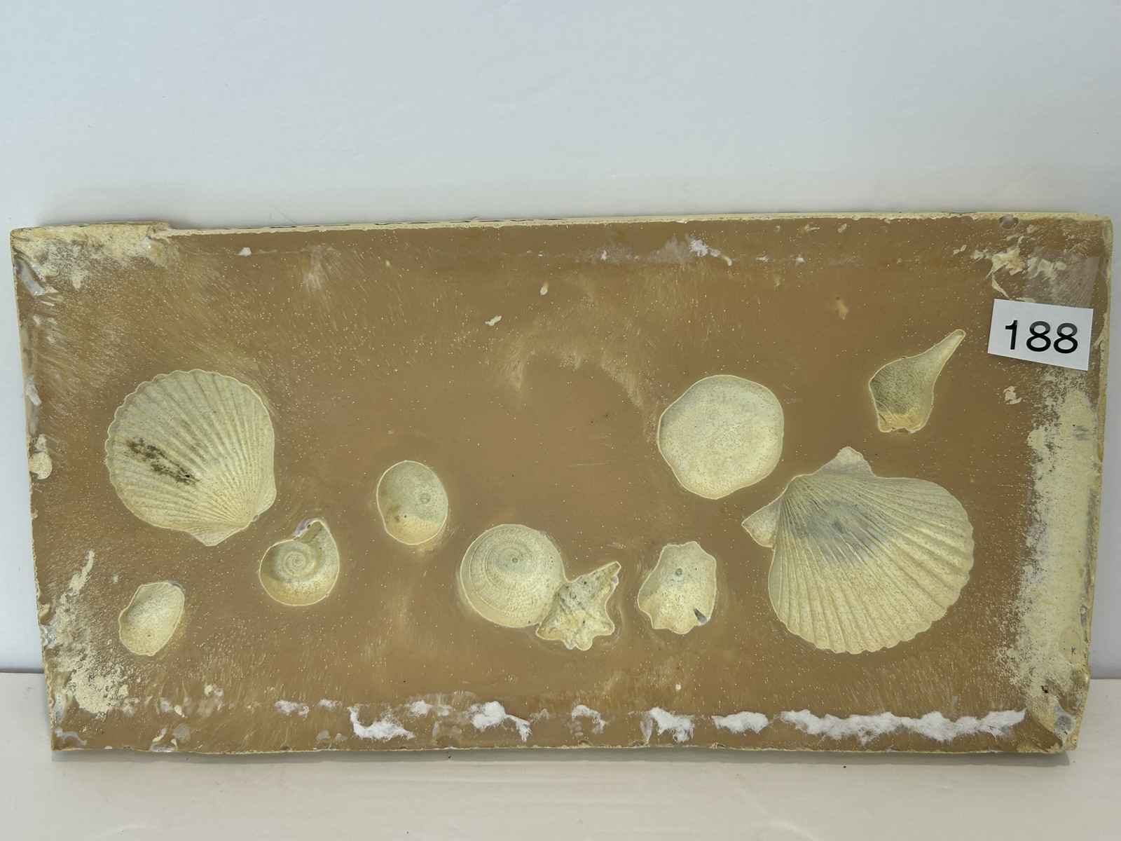 Shell Paper Casting Mold, Air dry clay and clay mold #188