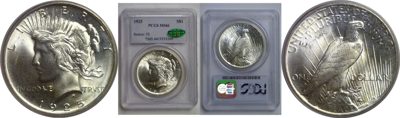 1925 Peace Dollar   PCGS MS-66  CAC
