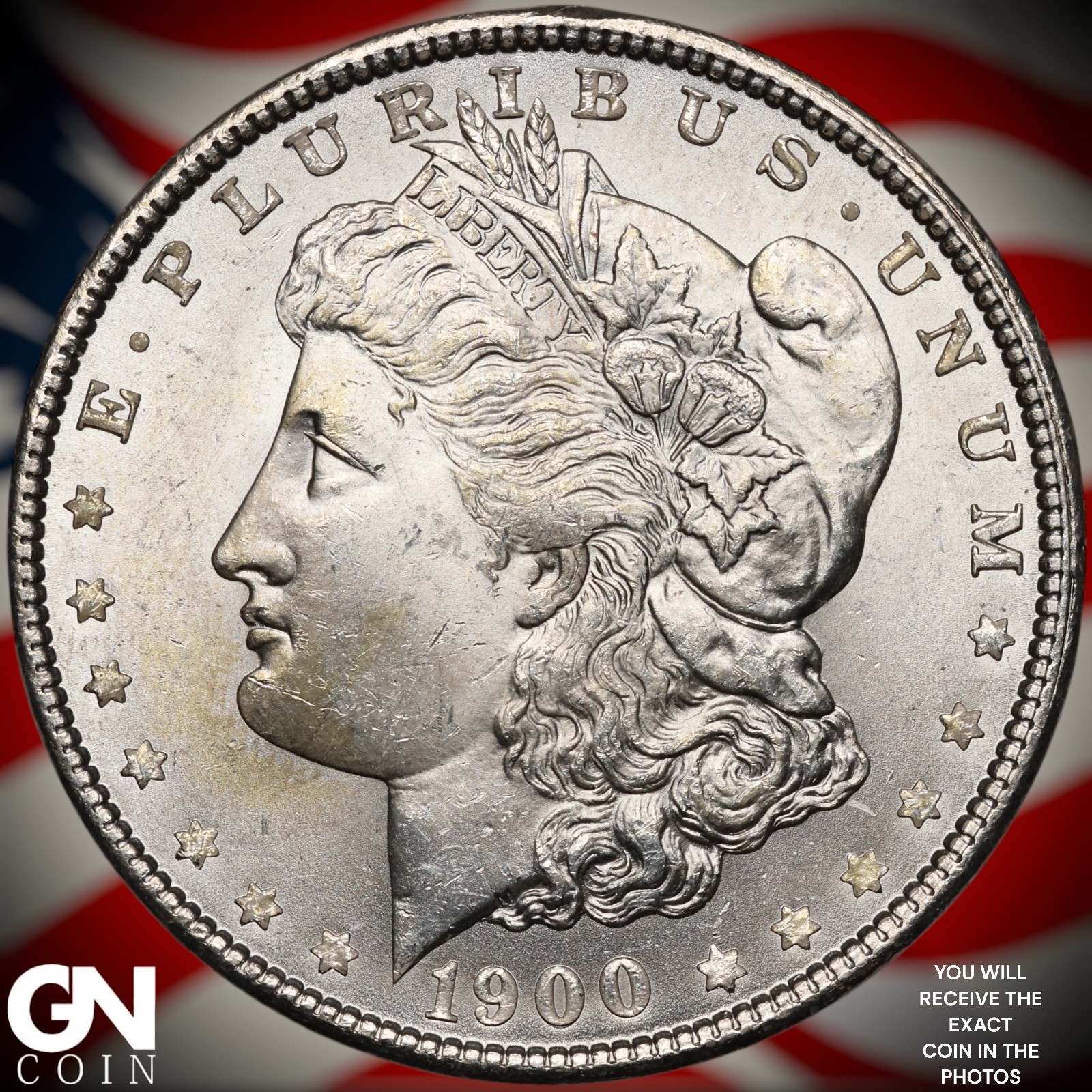 1900 P Morgan Dollar A9880