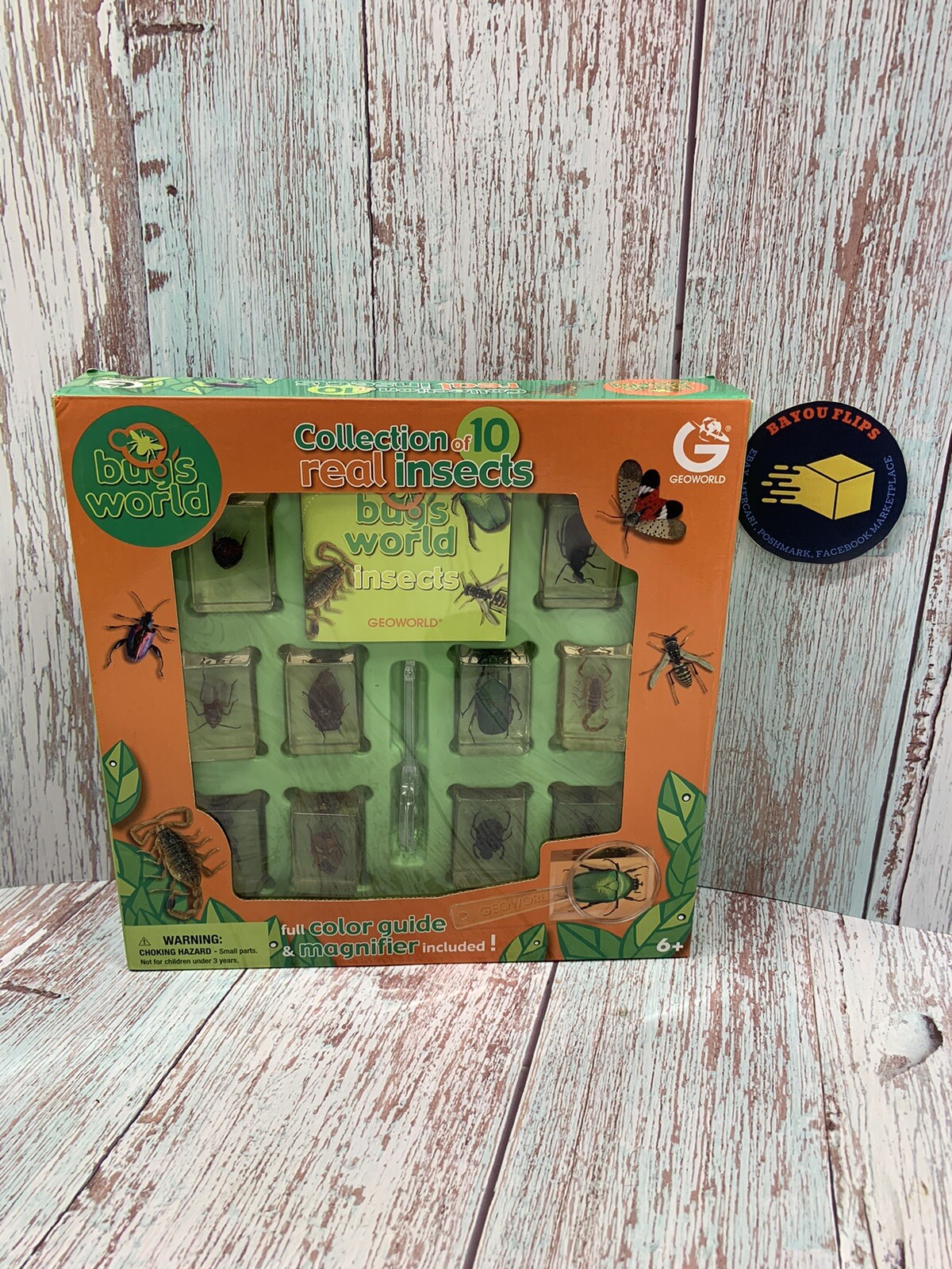 Geoworld Bugs World Collection Of 10 Real Insects age 6+ science-