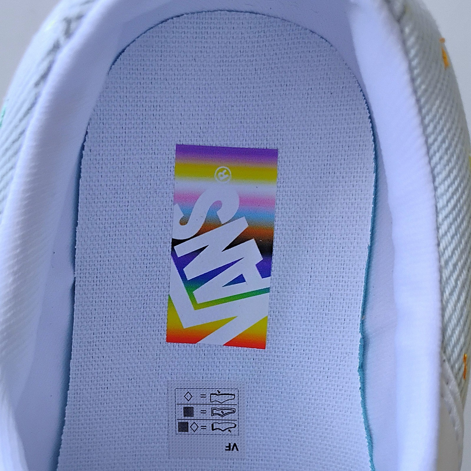 Vans Men's Lowland CC Together As Ourself Lightweight Canvas in Lovely Multi