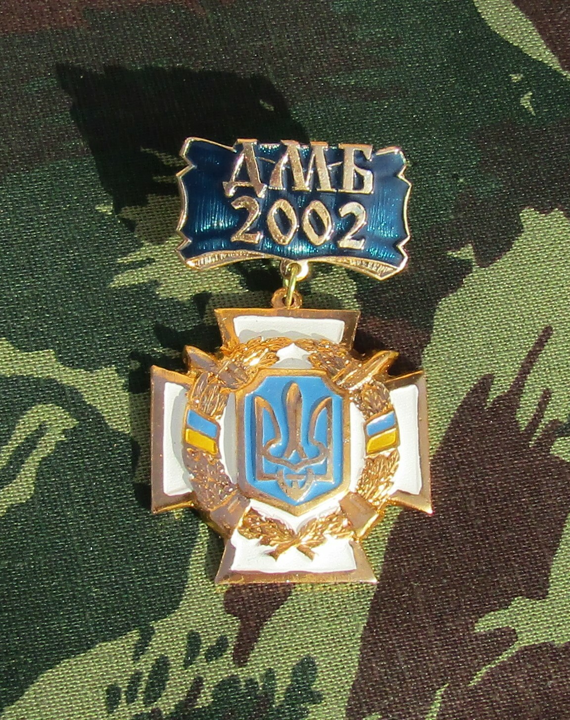 Ukrainian Badge DMB 2002