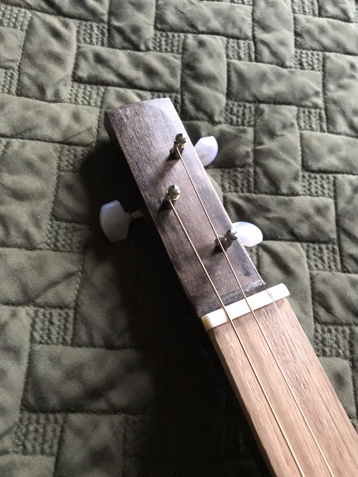 3 String Fretless Box Guitar