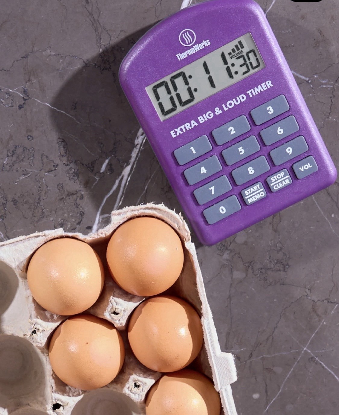 Extra Big & Loud Timer by ThermoWorks