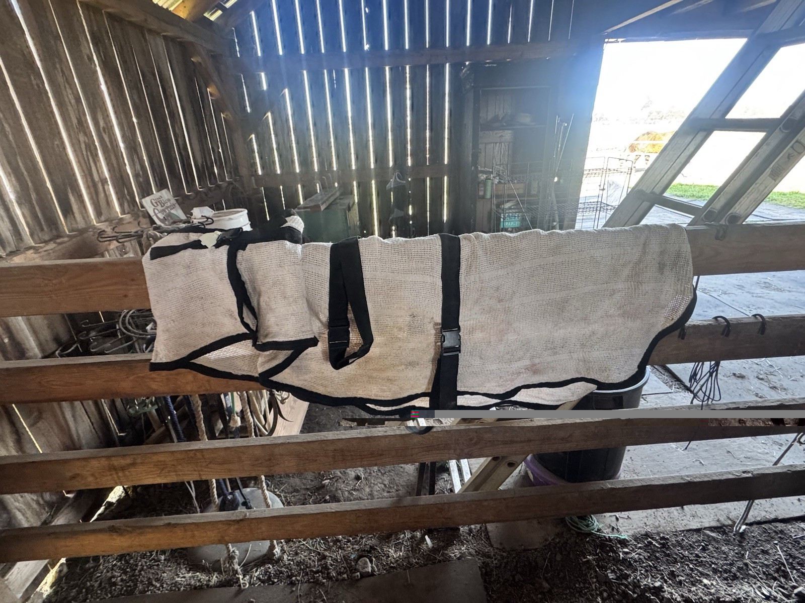 Saratoga Horseworks Stable Sheet -  82” Cotton Classic Dry Off/ Stay Clean