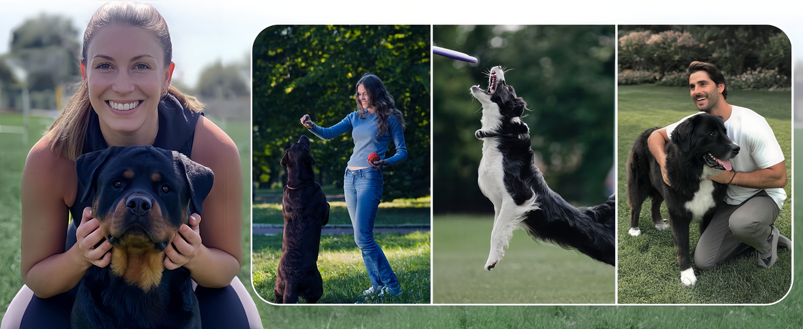 Dog Training Collar with Remote 4200FT Humane Training Modes Electric Dog Collar