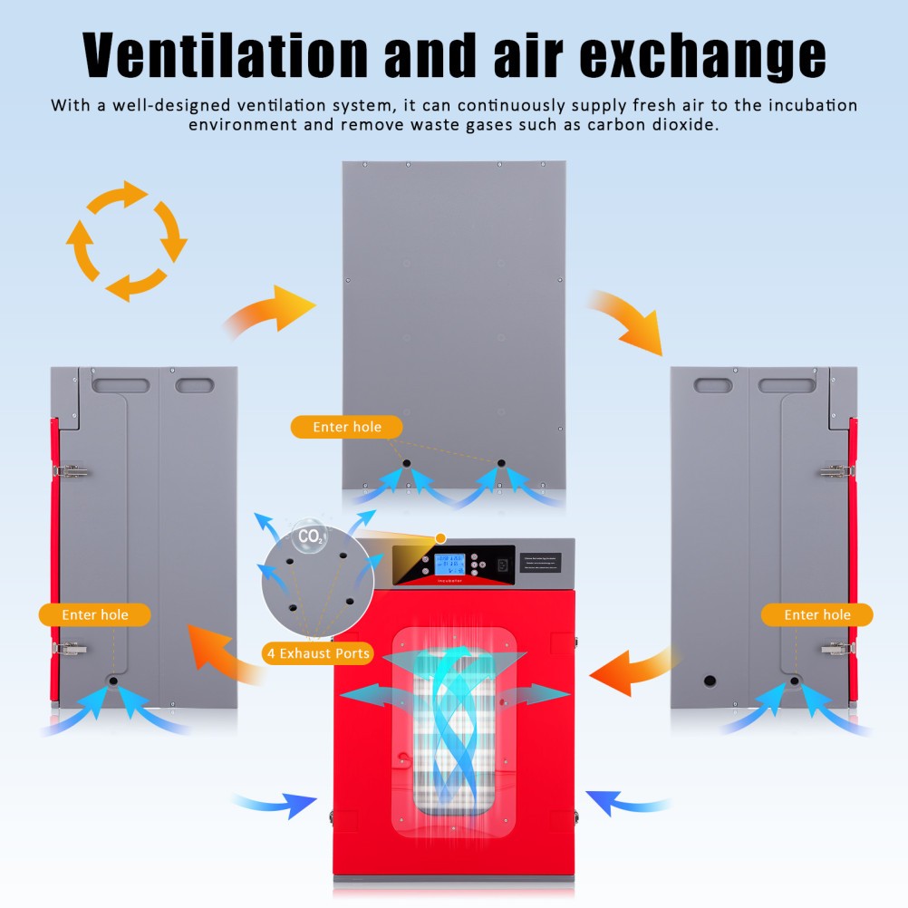 400 Egg Incubator Automatic Egg Turning & Temperature Control Digital Incubators