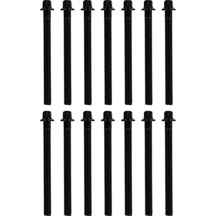 Victor Reinz Gaskets 14-32005-02 Engine Cylinder Head Bolt Set