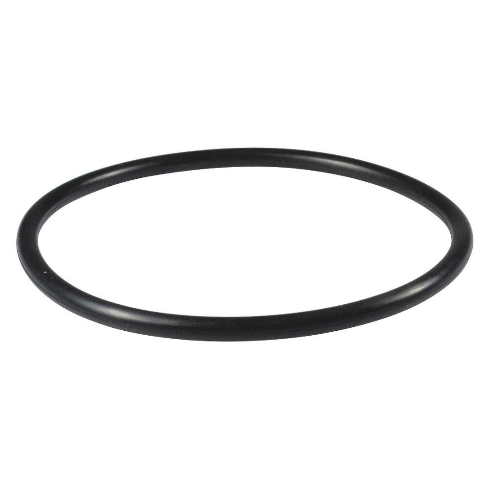 DAYTON PP21101000002G O-Ring,NBR 23AZ11