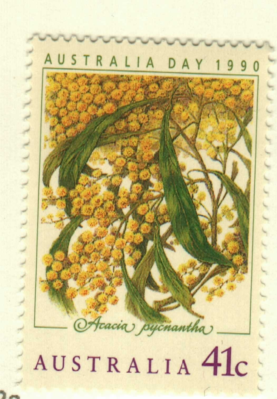 Australia #1163 MNH Acacia pycnantha Australia Day 1990