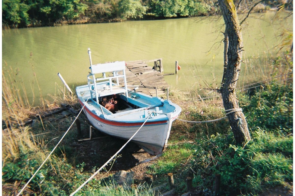 Lomography Simple Use Color Negative 400 ISO Camera 36 Exposures