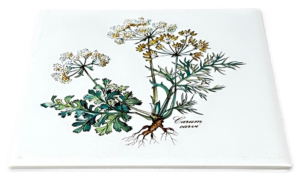 Villeroy & Boch Botanica Trivet Square Carum Carvi France