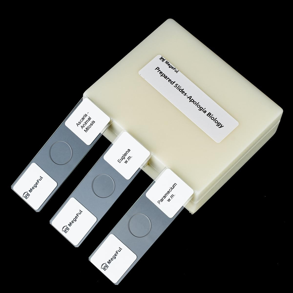 Prepared Microscope Slides for Apologia Biology Series, 16PCS Microscope Slides