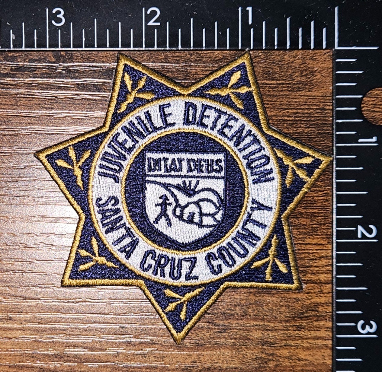 Santa Cruz County Arixona Juvenile Detention Police Patch