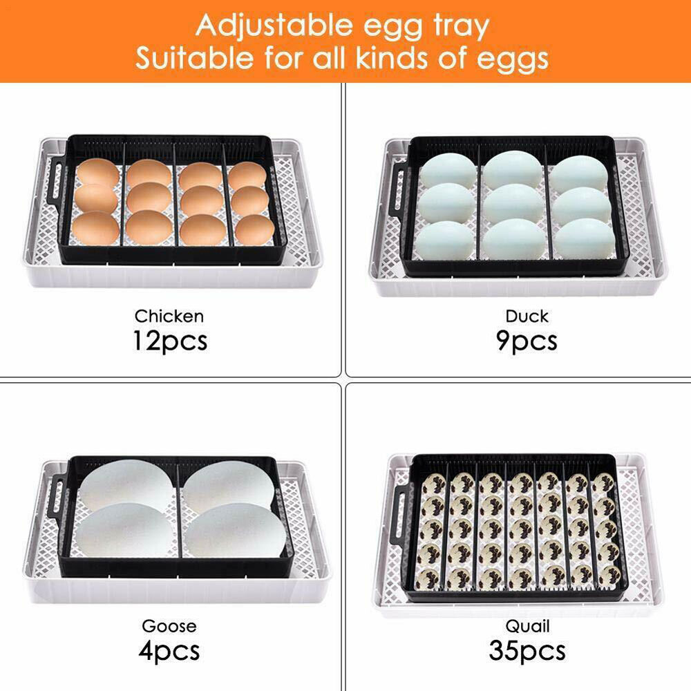 12 Eggs Incubator Automatic Eggs Hatcher For Chicken Quail Poultry Hatching US