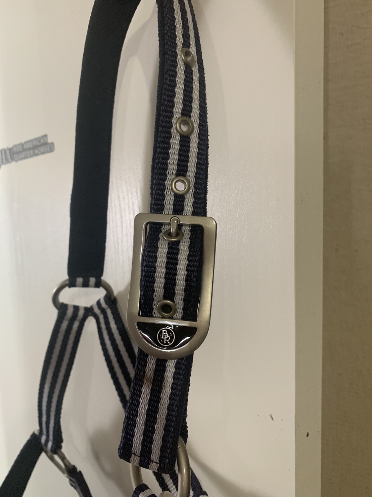 Pony Nylon Halter Padded