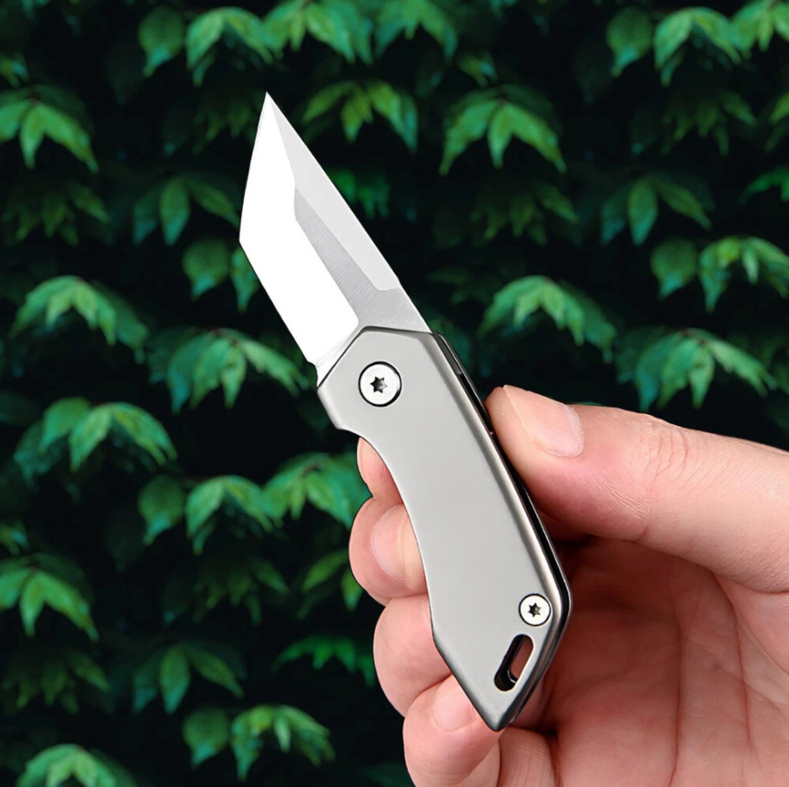 Mini Titanium Folding D2 Tanto Blade Knife EDC Outdoor Camping Keychain Tools
