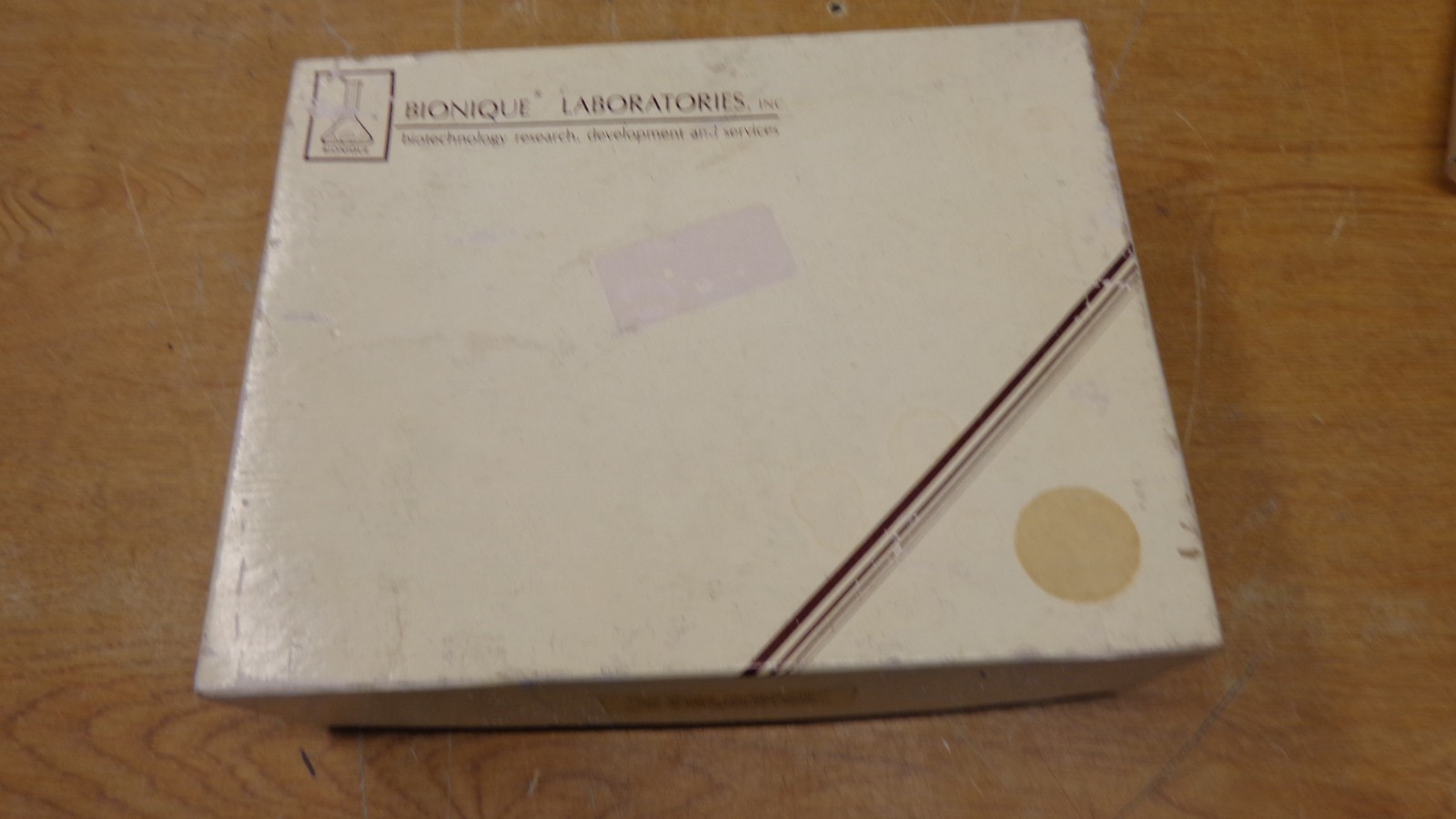 bionique chamber/Dish cd-100 Light microscopy kit