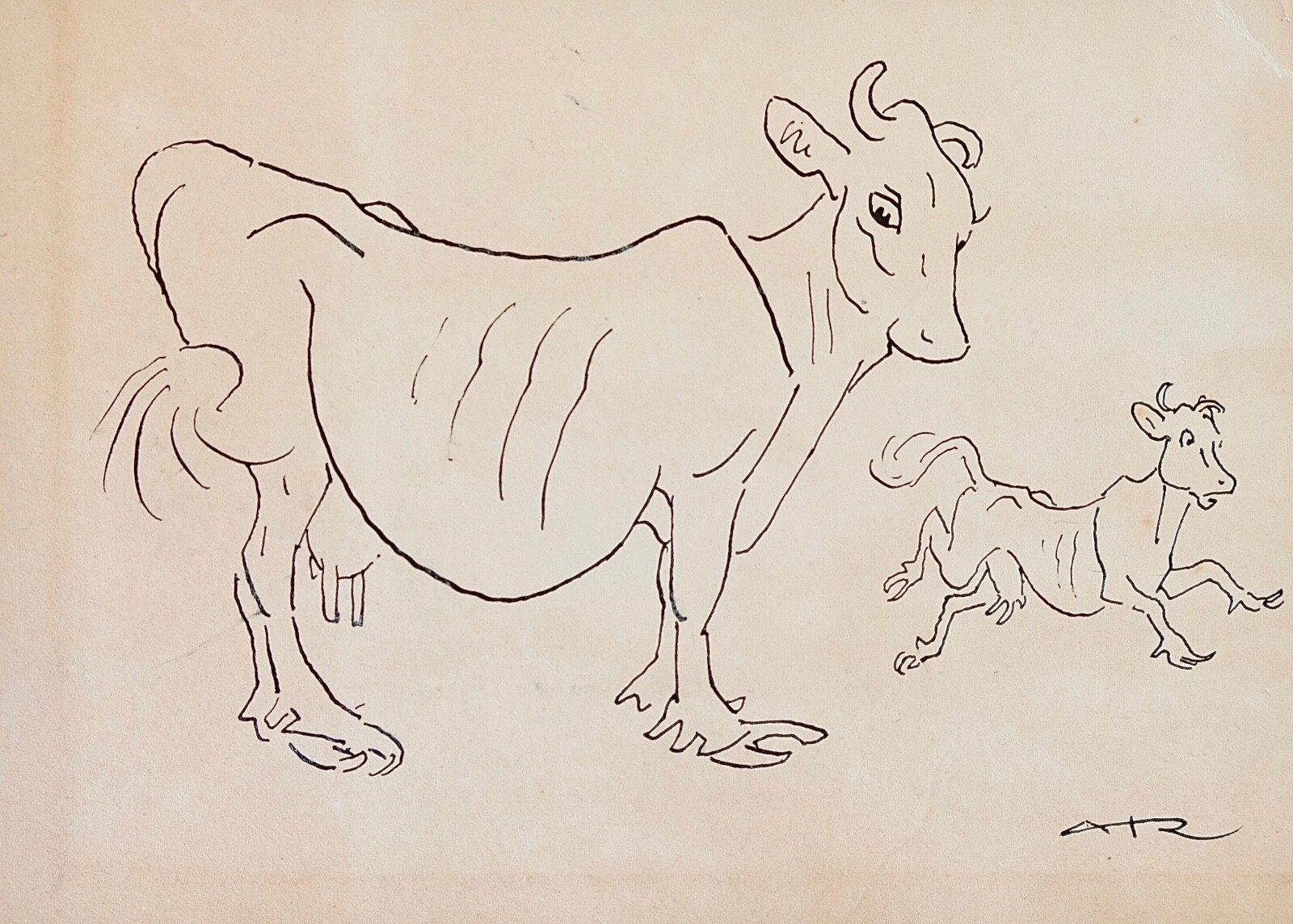 Auguste Roubille - Drawing - Ink - Cow 2