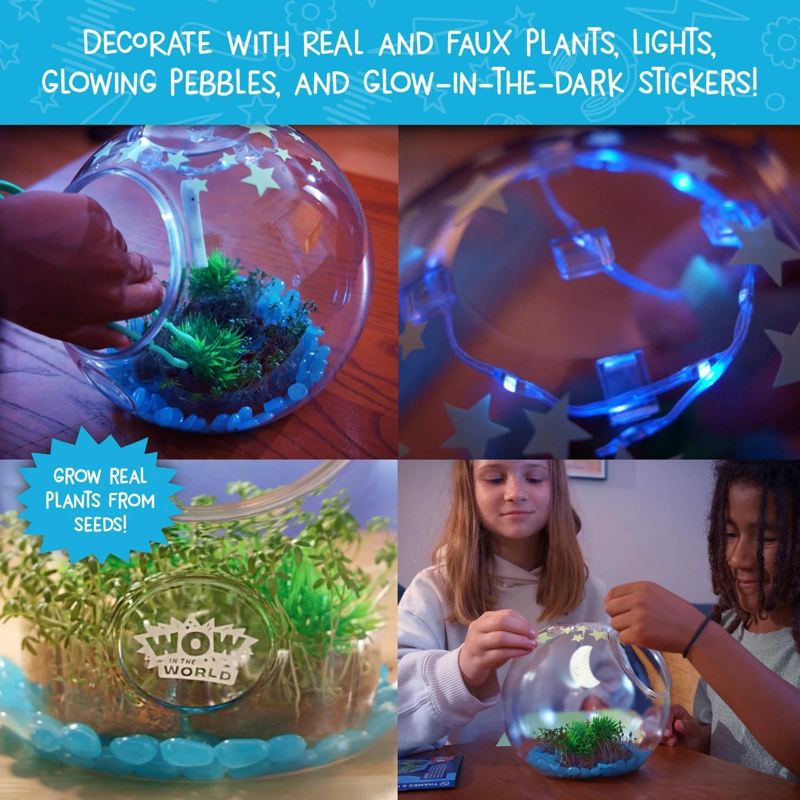Glowing Terrarium STEM Kit with Seeds LED Lights and Educational Guide