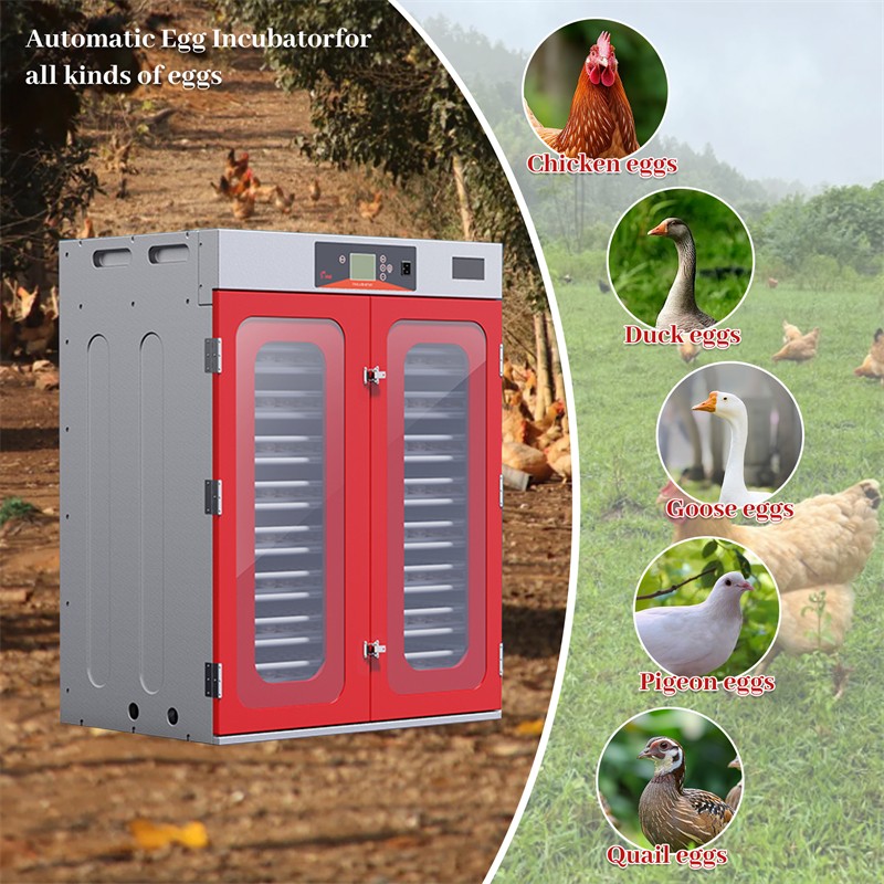 1000-Egg Incubator Digital Hatcher w/ Automatic Temperature & Humidity Control