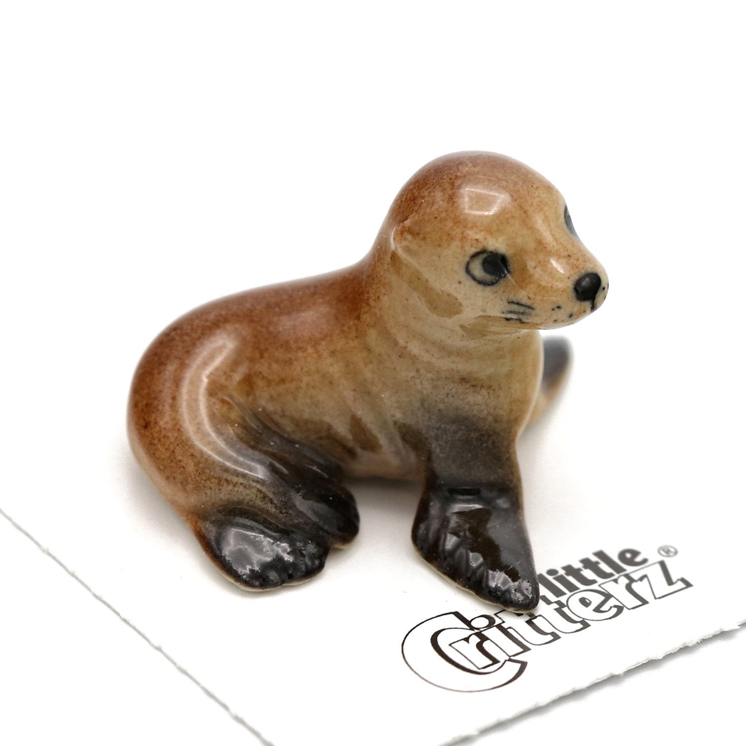Little Critterz Brown - Wild Sea Lion Pup "Rocky" - Miniature Porcelain Figurine