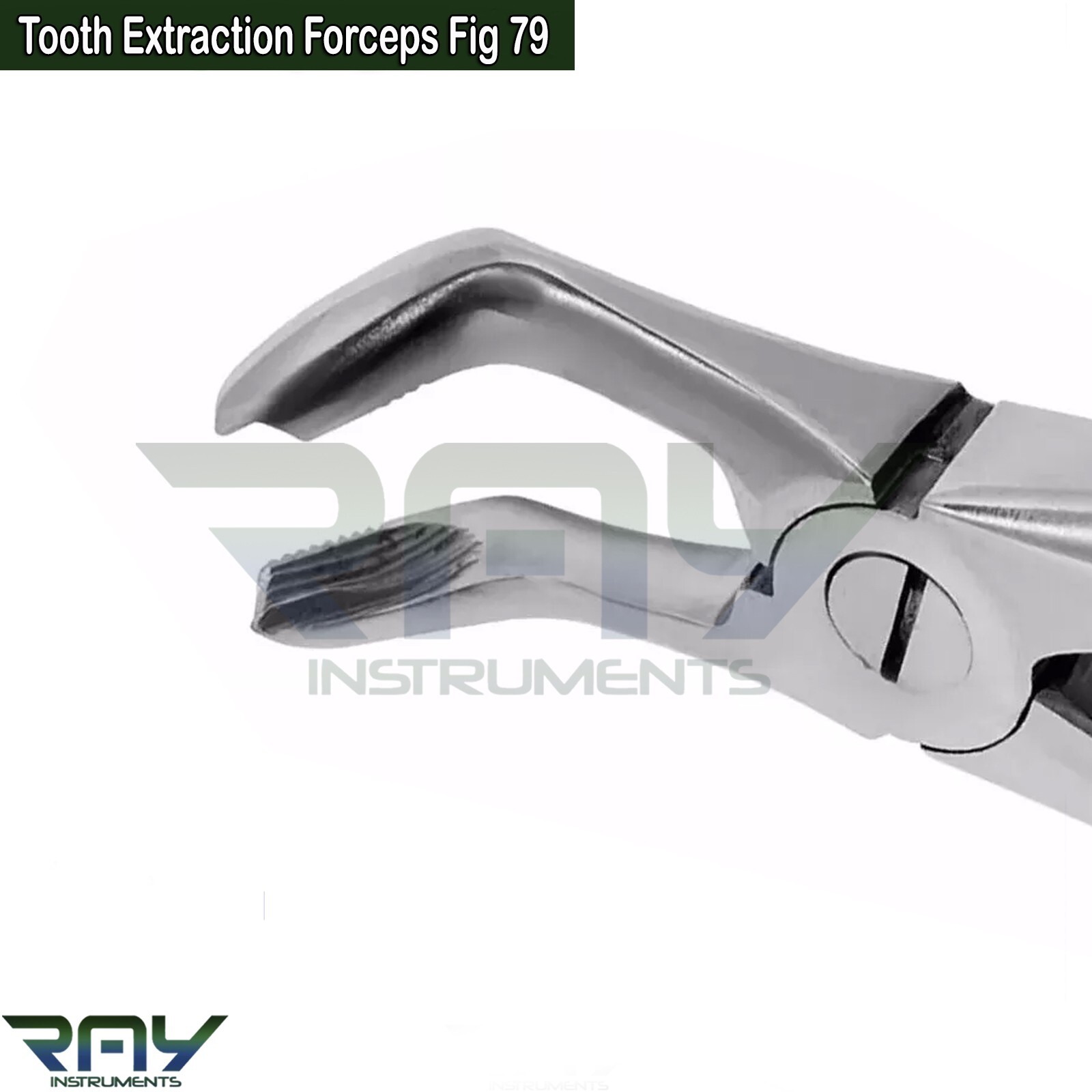 Dental Tooth Extraction Forceps Fig.79 Lower Molar Wisdom Teeth Extracting Plier