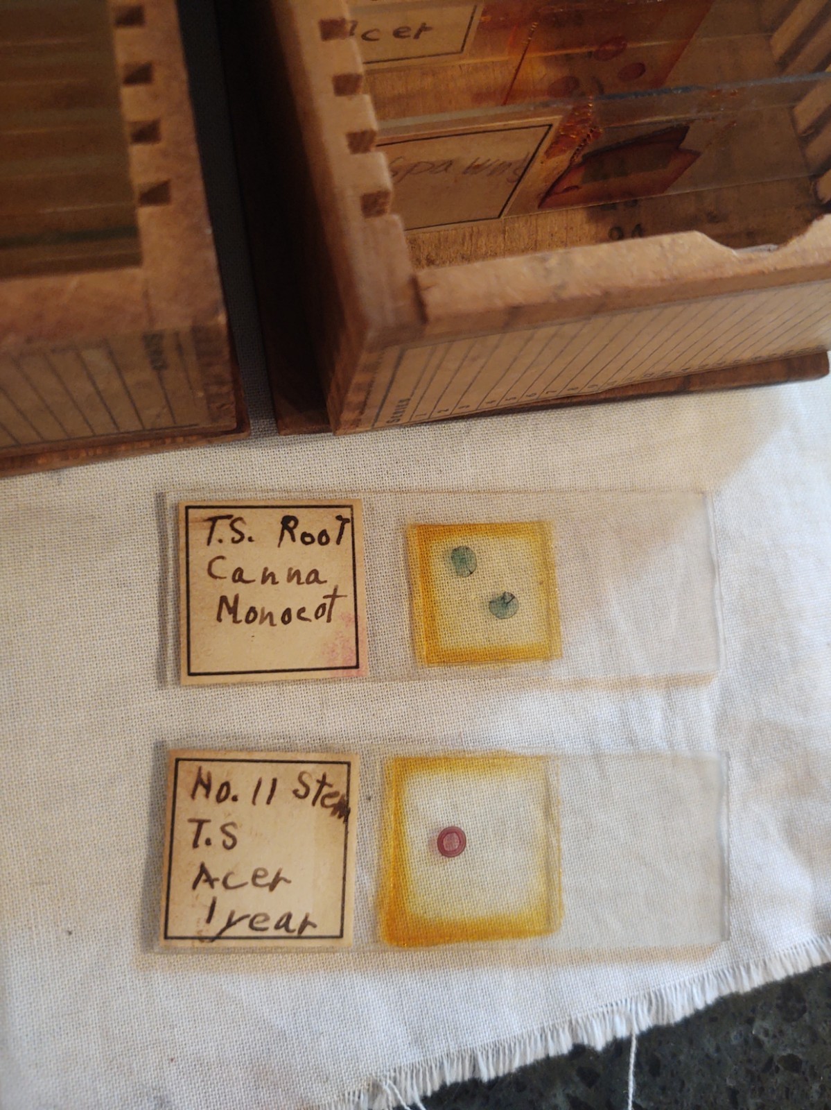 1890 Leitz Wetzlar Brass Microscope serial # 16882 & Slides Dr. Irwin Boeshore