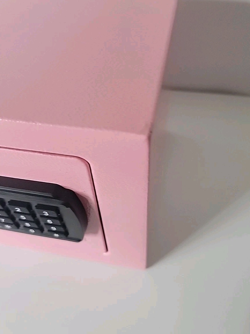 Intelligent Electronic Safe, Pink, Some Paint Touch-up (See Pictures), 2 Keys