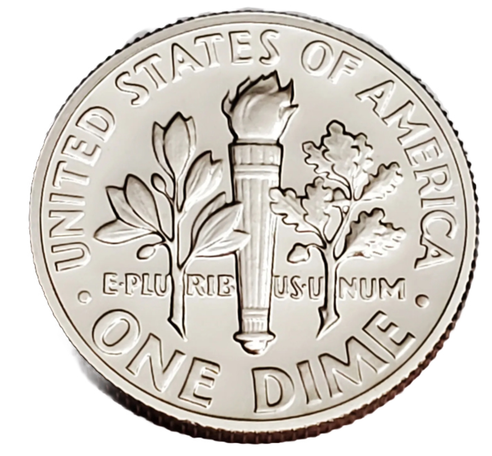 1981-S Type 1 Roosevelt Dime Gem Proof US Coin | Free Shipping W/Tracking