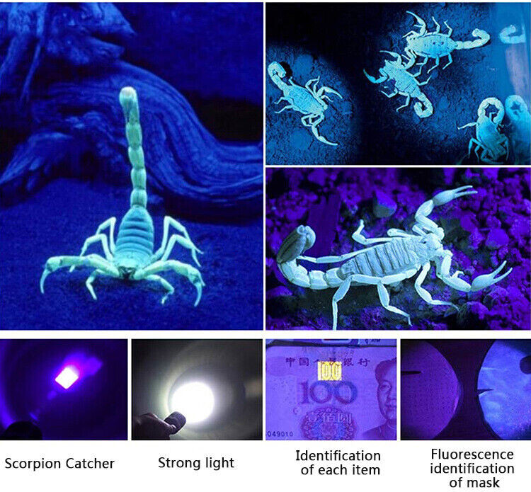 Super Bright 120000lm UV Torch Ultra Violet Flashlight Blacklight Light Lamp LED
