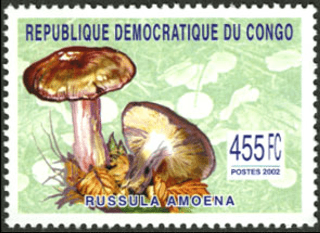 Democratic Republic of the Congo 2003 Perf. Mushrooms Series N° 1764 - 1766 BL