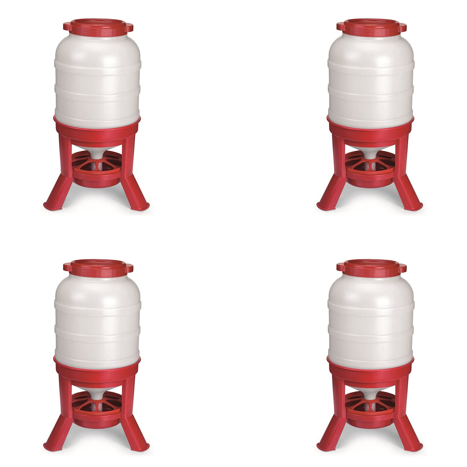 Little Giant 60 Pound Feed Heavy Duty Poultry Chicken Gravity Feeder (4 Pack)